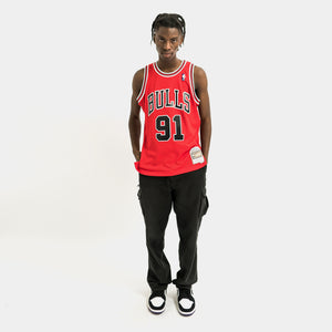Dennis Rodman Chicago Bulls Throwback NBA Swingman Jersey