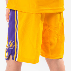 LeBron James Los Angeles Lakers 2023 Icon Edition Boys NBA Box Set