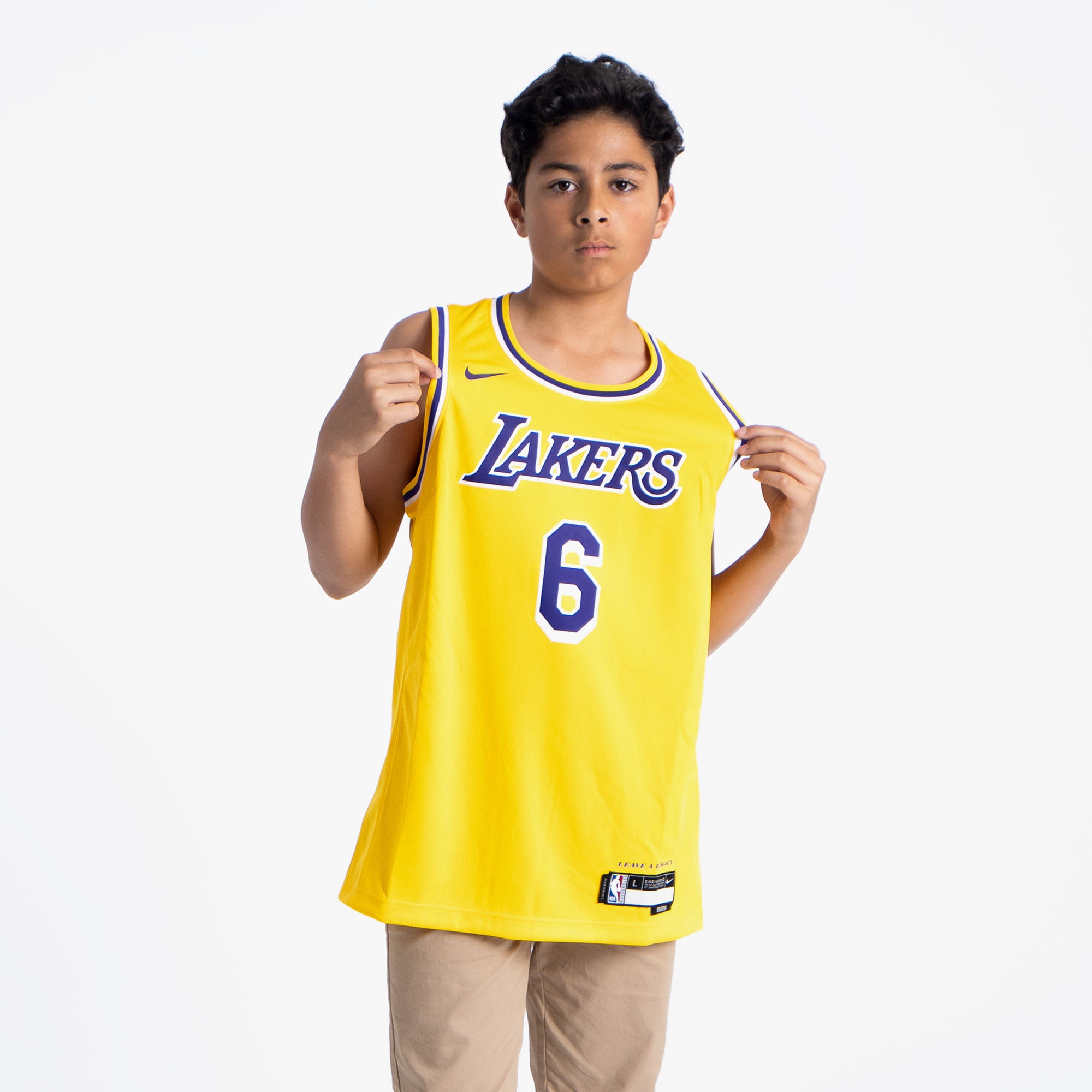 Nike Los Angeles Lakers LeBron James #6 Icon Swingman Jersey L