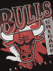 Chicago Bulls Paint Brush NBA Crew Neck Jumper