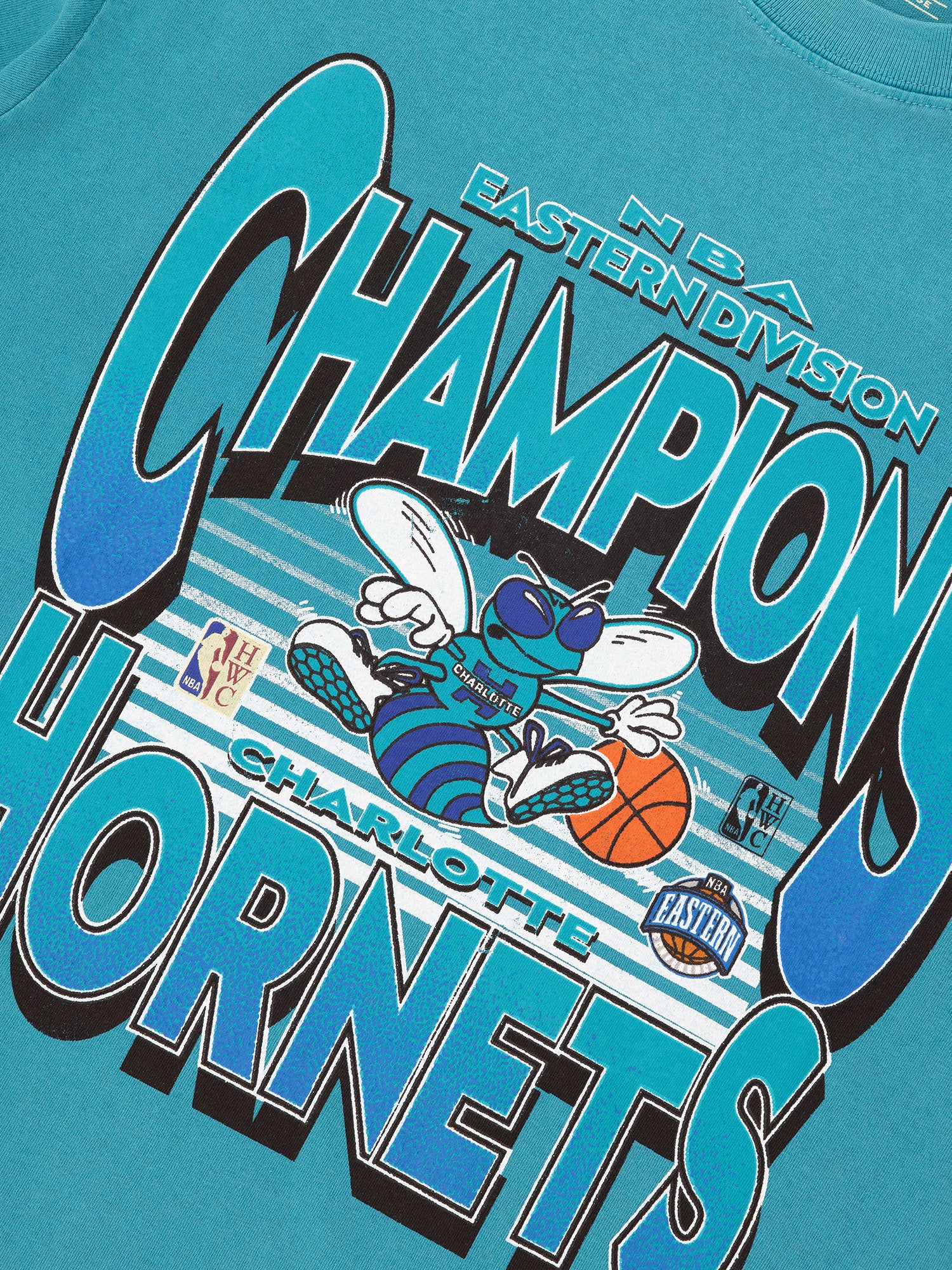 VTG 90s Champions Charlotte Hornets NBA T-Shirt Mens Large