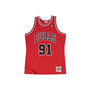 Dennis Rodman Chicago Bulls HWC Youth NBA Swingman Jersey