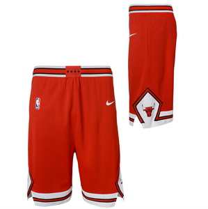 Chicago Bulls 2024 Icon Edition Swingman Youth NBA Shorts