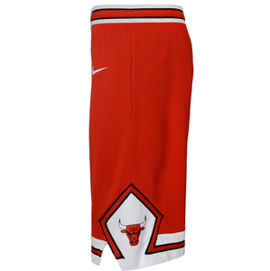 Chicago Bulls 2024 Icon Edition Swingman Youth NBA Shorts