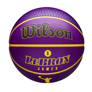 LeBron James Los Angeles Lakers Player Icon NBA Outdoor Basketball