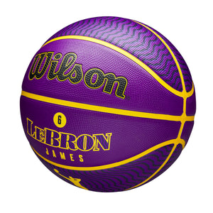 LeBron James Los Angeles Lakers Player Icon NBA Outdoor Basketball