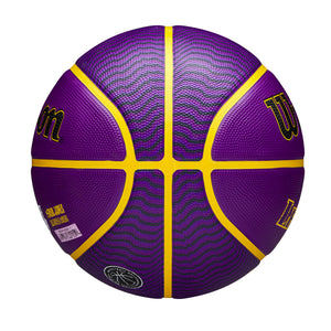 LeBron James Los Angeles Lakers Player Icon NBA Outdoor Basketball