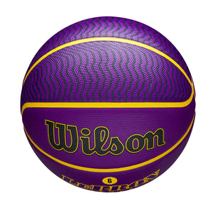 LeBron James Los Angeles Lakers Player Icon NBA Outdoor Basketball