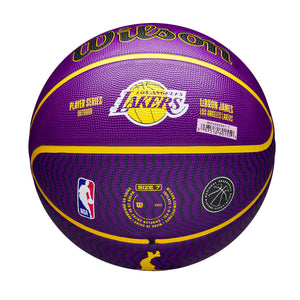 LeBron James Los Angeles Lakers Player Icon NBA Outdoor Basketball