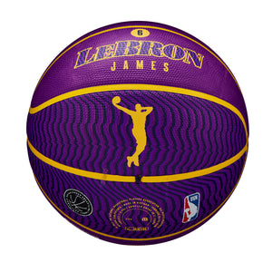 LeBron James Los Angeles Lakers Player Icon NBA Outdoor Basketball