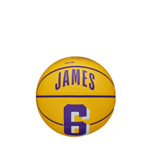 LeBron James Los Angeles Lakers Player Icon Mini NBA Basketball