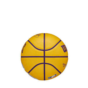 LeBron James Los Angeles Lakers Player Icon Mini NBA Basketball