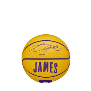 LeBron James Los Angeles Lakers Player Icon Mini NBA Basketball