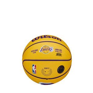 LeBron James Los Angeles Lakers Player Icon Mini NBA Basketball