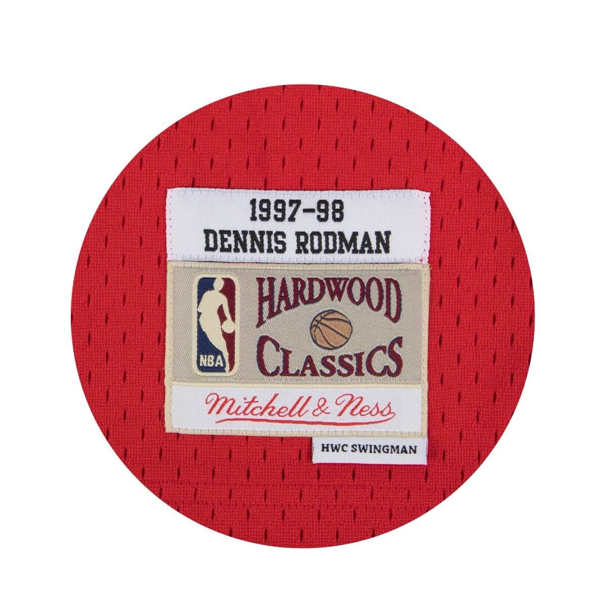 Dennis Rodman Chicago Bulls 12 x 15 Hardwood Classic Sublimated Player Plaque