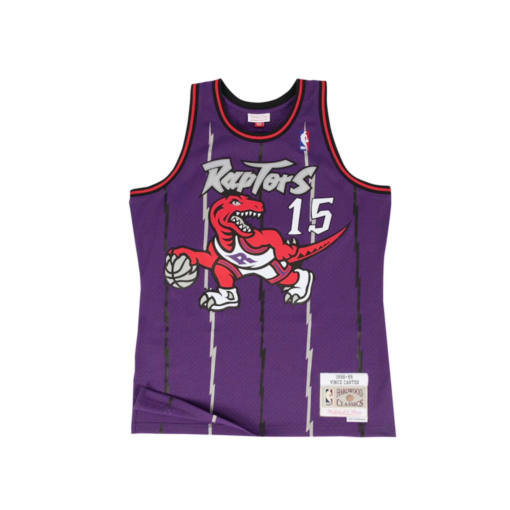 Outerstuff Vince Carter Toronto Raptors NBA Mitchell & Ness Youth Throwback  Swingman Jersey : : Sports & Outdoors