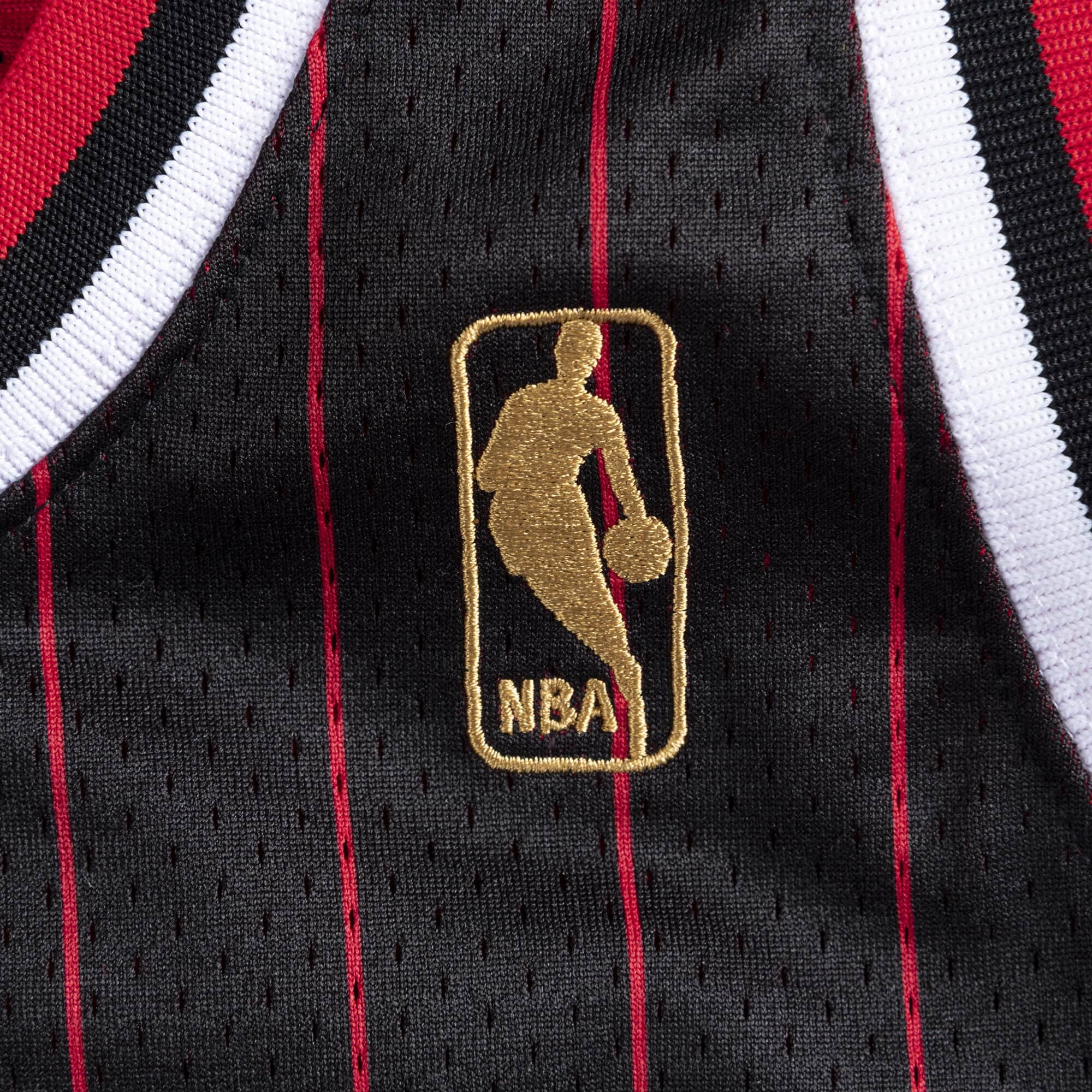 Michael Jordan Chicago Bulls Premium 1995-96 Pinstripe NBA Authentic J –  Basketball Jersey World