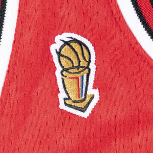 Michael Jordan Chicago Bulls Premium 1995-96 Finals NBA Authentic Jersey
