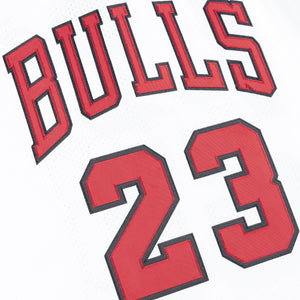 Michael Jordan Chicago Bulls Premium 1995-96 NBA Authentic Jersey