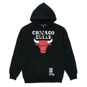 Chicago Bulls Team Logo NBA Hoodie