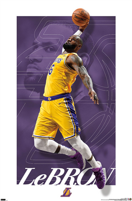  Nike Lebron James Los Angeles Lakers Gold Kid's Icon Edition Swingman  Jersey X-Large : Sports & Outdoors
