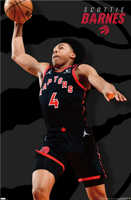 Raptors Jerseys Boast Your Team s Colours in Toronto Raptors