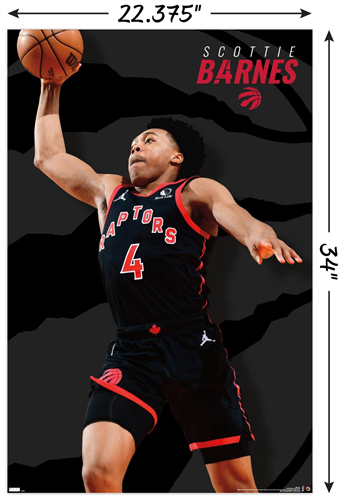 NBA New York Knicks -Team 21 Wall Poster, 22.375 x 34