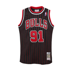 Dennis Rodman Chicago Bulls 1995/96 Pinstripe HWC Throwback Youth NBA Swingman Jersey