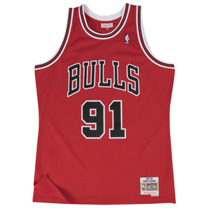 Dennis Rodman Chicago Bulls Throwback NBA Swingman Jersey